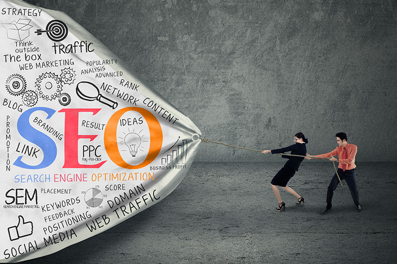 seo referencement ovalp net