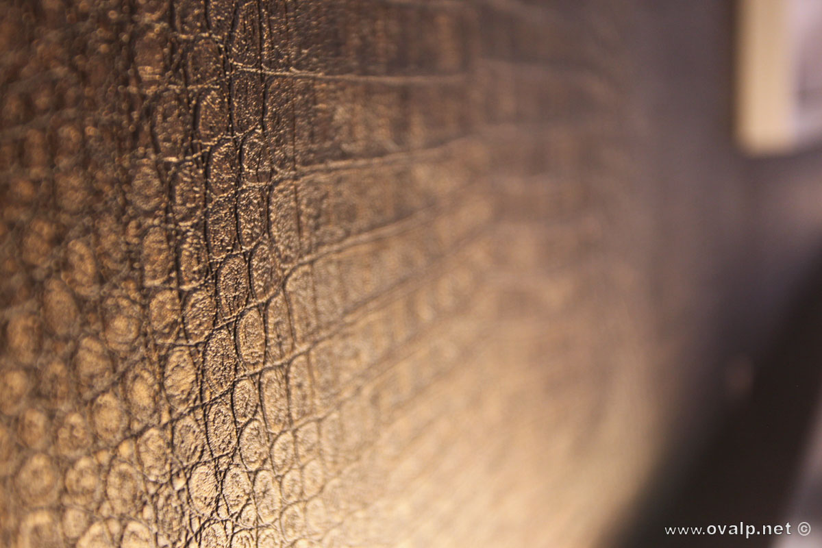 Illustration Web Hotel