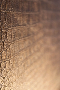 Illustration Web Hotel Ovalpnet