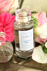 Illustration Web Packshot Ovalpnet